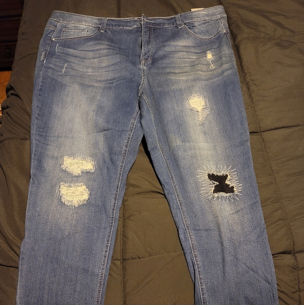 Seven Brand Melissa McCarthy Skinny Jean 24W